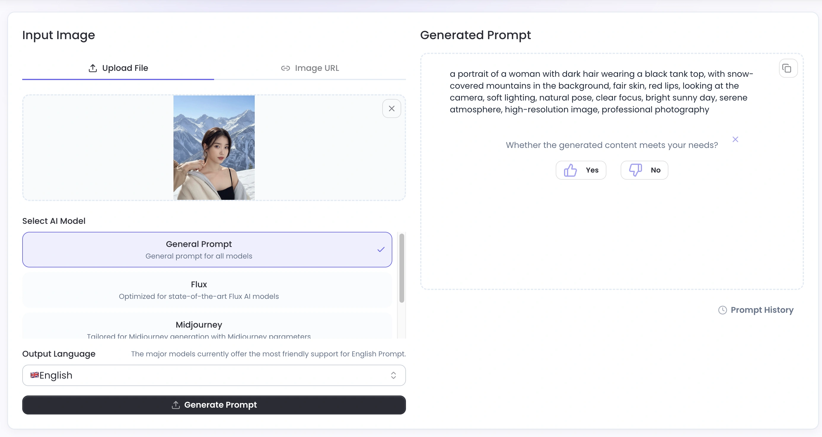 An example of the prompt generator